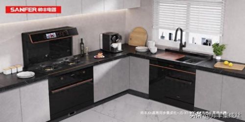 十大排名集成灶排行榜(2019十大集成灶排行榜)插图2