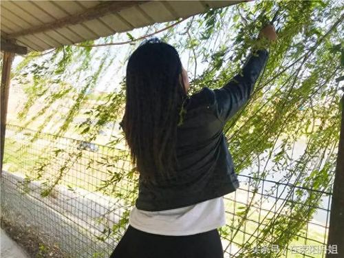 荥阳最美水库排名前十(荥阳水库图片)插图19 荥阳最美水库排名前十(荥阳水库图片)插图19