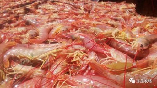 冻品虾十大品牌排行榜图片(冻品虾)插图 冻品虾十大品牌排行榜图片(冻品虾)插图