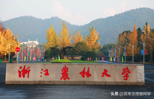 杭州大学排名前十(杭师大要改为杭州大学吗)