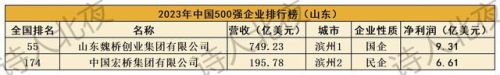 山东十大企业排行榜最新名单(山东芯片企业排名)插图2