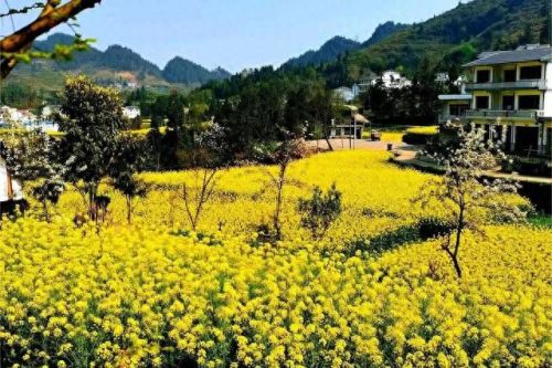 遵义民宿十大排行榜(遵义必吃十大馆子)插图17