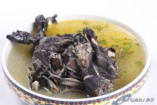 女士十大滋补品排行榜大全(女性经典滋补品)插图9