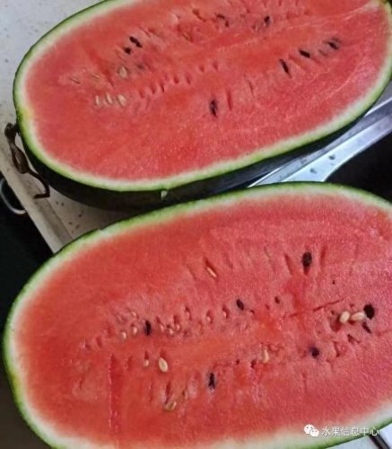 西瓜品种大小十大排行榜(露天西瓜哪个品种好)插图20