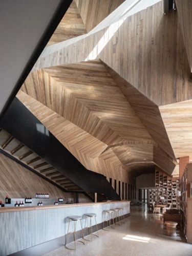 山西肉鸽销量排名前十(大熊养殖肉鸽)插图15 山西肉鸽销量排名前十(大熊养殖肉鸽)插图15