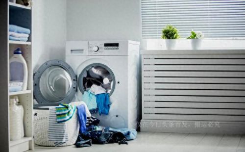 家电排行榜洗衣机十大品牌(家电维修点附近洗衣机)插图2