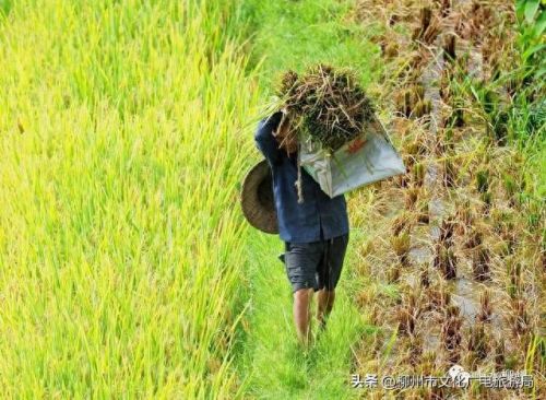 柳州十大摄影师排行榜图片(柳州全家福摄影前十名)插图19