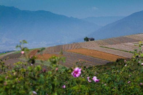 腾冲美容排名前十的(山东美容排名前十)