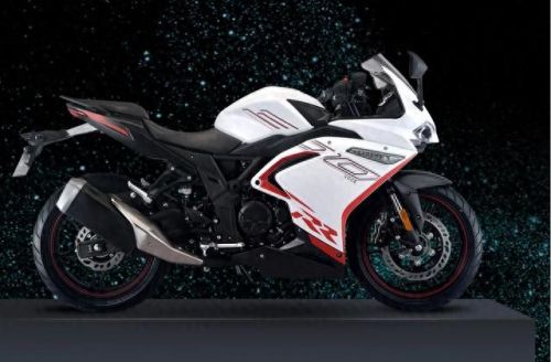 十大经典摩旅车排行榜(长途摩托车哪种最舒服)插图3