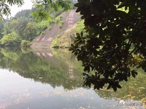 茶经排名前十的茶(十三种满分好茶)插图61 茶经排名前十的茶(十三种满分好茶)插图61