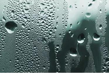 深圳湿气中医排名前十(上海老中医看湿气)插图 深圳湿气中医排名前十(上海老中医看湿气)插图