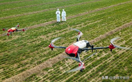 中国十大进口粮食排行榜表(中国进口粮食大全)插图7