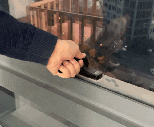 十大国产猫砂品牌排行榜(自制猫砂最简单的方法)