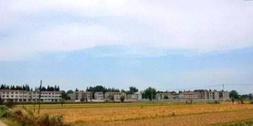 孝南区十大最好初中排行榜(2022孝南区中学排名)插图6