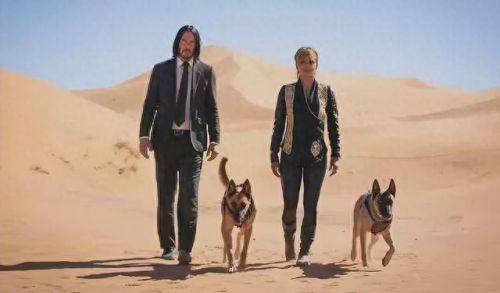 十大经典动作片排行榜(夫妻二人看的电影)插图2 十大经典动作片排行榜(夫妻二人看的电影)插图2