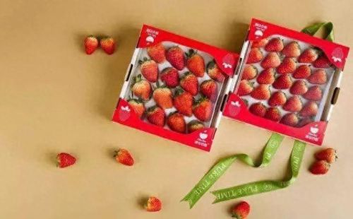 合肥十大水果品牌排行榜(合肥最好水果排名)