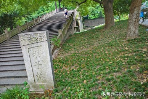 杭州最美雕像排名前十(杭州青芝坞的朱淑贞雕像)插图5 杭州最美雕像排名前十(杭州青芝坞的朱淑贞雕像)插图5