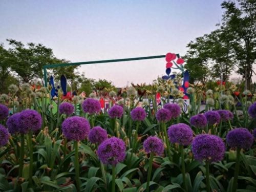 宁波游玩景区排名前十(宁波笔架山风景区)插图47 宁波游玩景区排名前十(宁波笔架山风景区)插图47