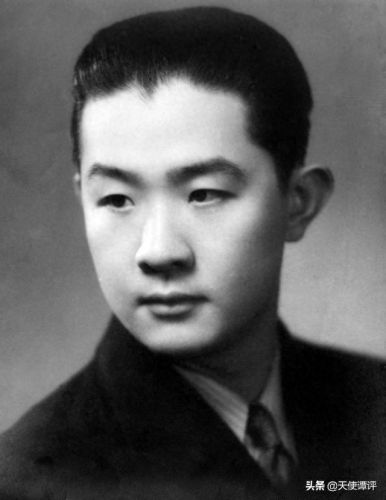 言派十大名票排行榜(十大名票)插图5