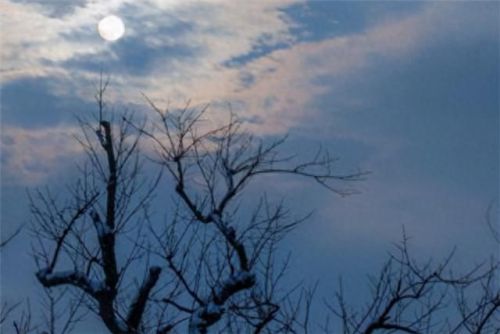 世界十大恐怖惊悚曲排行榜(恐怖bgm十大排名)插图1