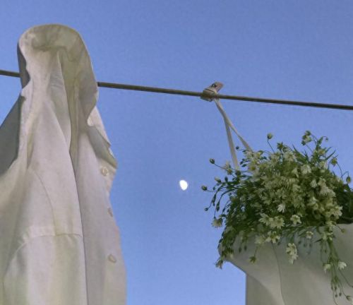 厨电十大名牌香水排行榜(十大室内香水排名)插图2