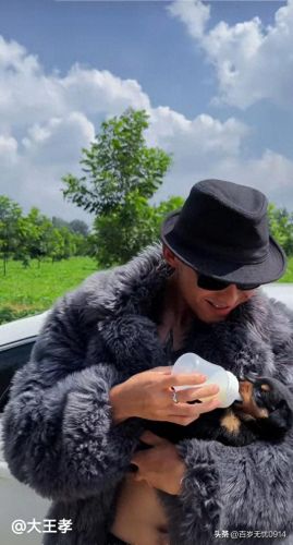 十大野钓博主排行榜(抖音十大旅游博主)插图1