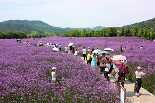 宁波游玩景区排名前十(宁波笔架山风景区)插图32 宁波游玩景区排名前十(宁波笔架山风景区)插图32