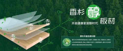 装修材料木板排名前十(装修木板吊顶哪种最好)插图6