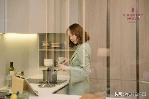 泰国最高豪宅排名前十(泰国女神miai豪宅)插图49 泰国最高豪宅排名前十(泰国女神miai豪宅)插图49