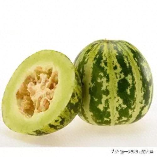 甜瓜品种十大排行榜图片(500个瓜图片)插图6