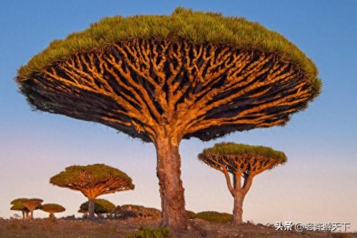 国内沙漠古城排名前十(青海所有沙漠排名)插图50 国内沙漠古城排名前十(青海所有沙漠排名)插图50