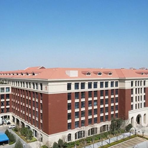 十大仿石漆排行榜图片大全(最流行的仿石漆)插图5 十大仿石漆排行榜图片大全(最流行的仿石漆)插图5