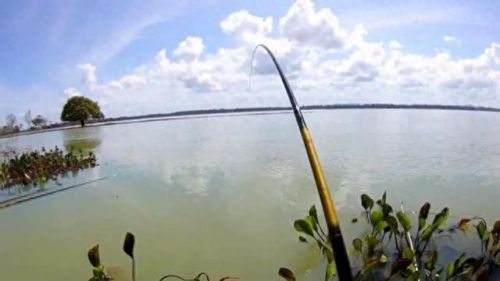 国内渔具十大排行榜最新(全球知名渔具排行榜)插图3 国内渔具十大排行榜最新(全球知名渔具排行榜)插图3