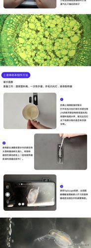 手机显微镜十大品牌排行榜(高端显微镜十大品牌)插图25