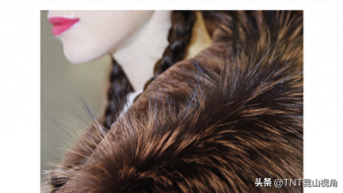 中国皮草品牌十大排行榜(口碑最好的皮草品牌)插图6 中国皮草品牌十大排行榜(口碑最好的皮草品牌)插图6