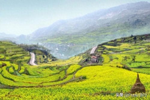 武义老店美食排名前十(武义手工面老店)插图5 武义老店美食排名前十(武义手工面老店)插图5