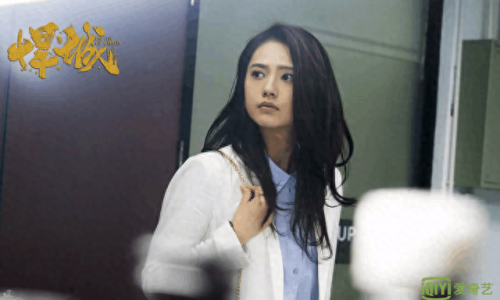 悍城十大网剧排行榜(悍城同类型的电视剧)插图5