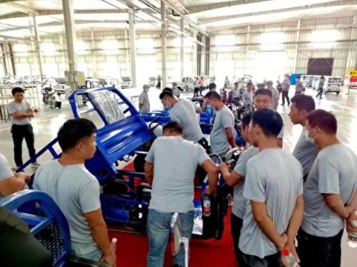 十大杂牌电动三轮排行榜(口碑最好十大电动车)插图3