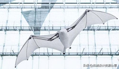 十大仿生机器人排行榜(仿生机器人免费观看)插图