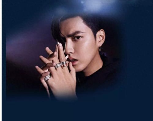 十大奢侈品男士戒指排行榜(男士戒指一般多少克)插图5