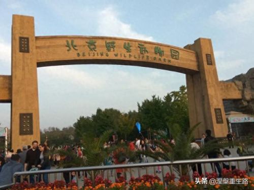排名前十动物园(国内最大的动物园排名)插图