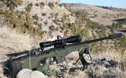 十大狙击枪射程排行榜图片(现代各种狙击枪介绍及图片)插图7