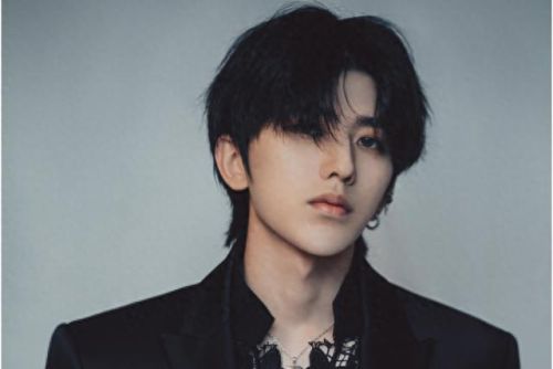 十大顶流男神排行榜(顶流男神暗恋我完结)插图1