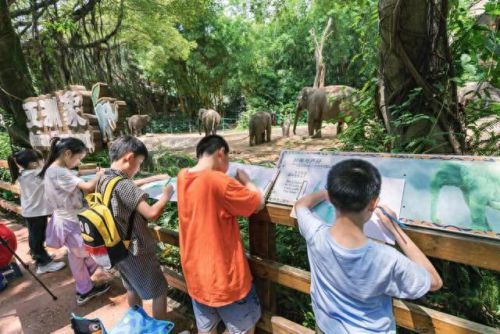 广州亲子乐园十大排行榜(广州融创乐园门票价目表)插图