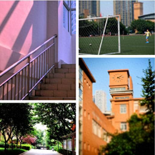 合川排名前十的小学(合川前十名小学)插图13 合川排名前十的小学(合川前十名小学)插图13