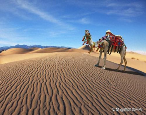 抖音歌曲十大排行榜(抖音歌曲排行榜大全)插图1 抖音歌曲十大排行榜(抖音歌曲排行榜大全)插图1