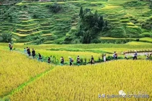 柳州十大摄影师排行榜图片(柳州全家福摄影前十名)插图9