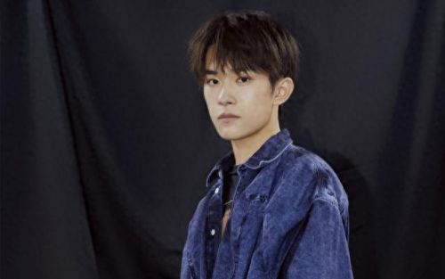 十大顶流男神排行榜(顶流男神暗恋我完结)插图3