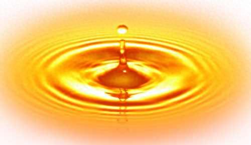 国际十大食用油排行榜(孕妇食用油排行榜)