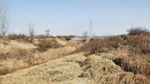 西安遛狗公司排名前十(西安遛狗事件最新消息)插图11 西安遛狗公司排名前十(西安遛狗事件最新消息)插图11